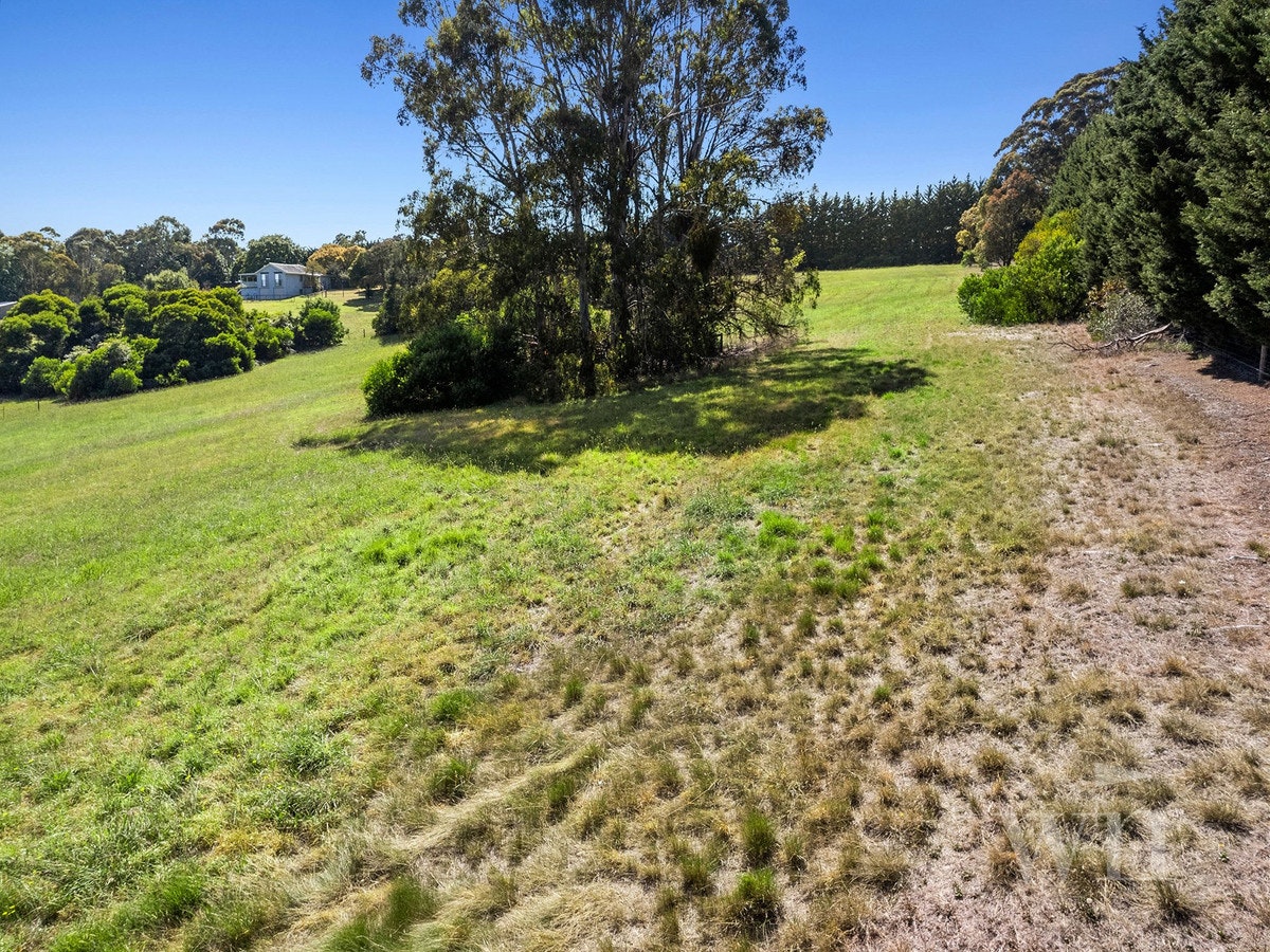 Image of field
