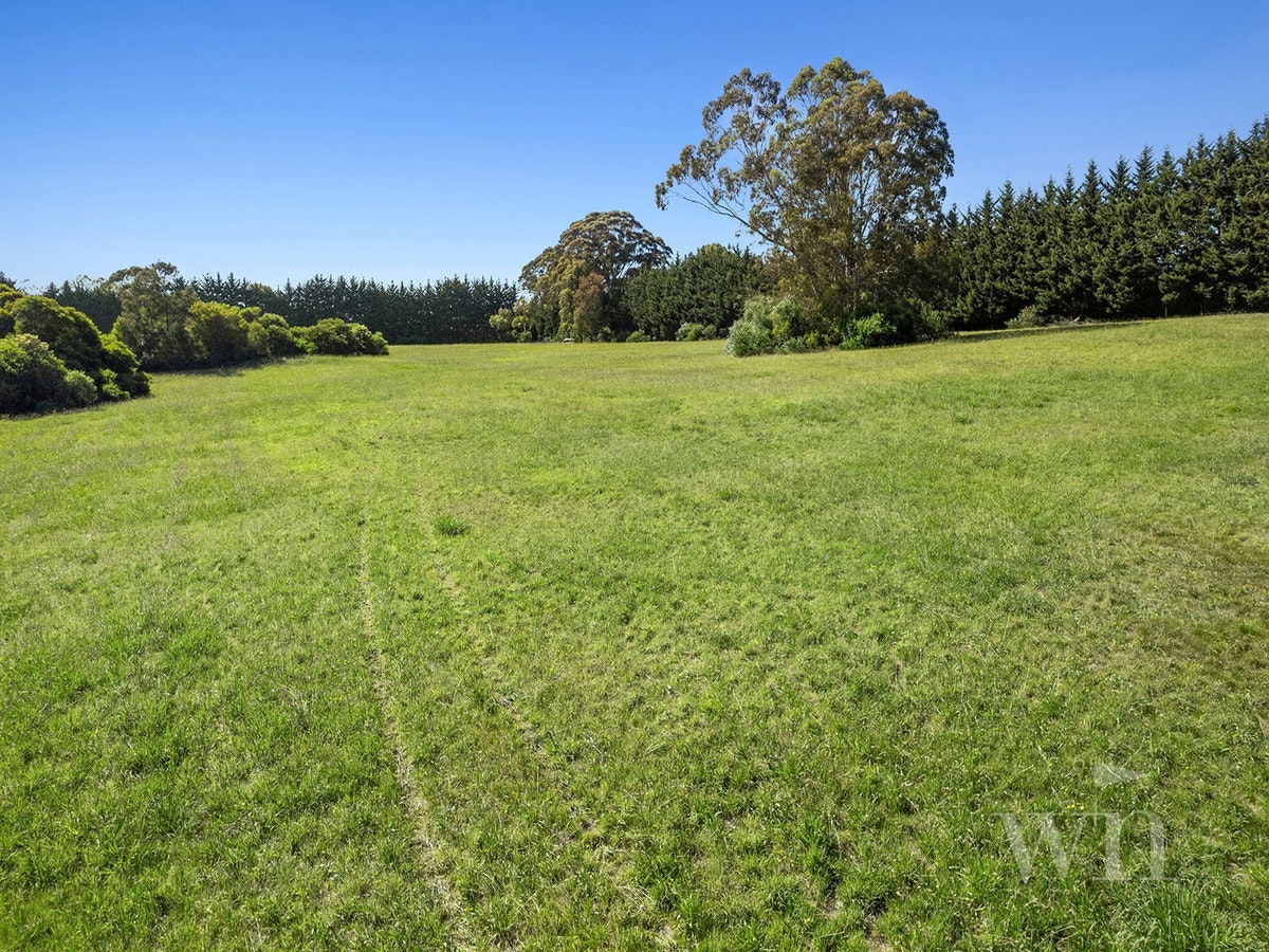 Image of grass