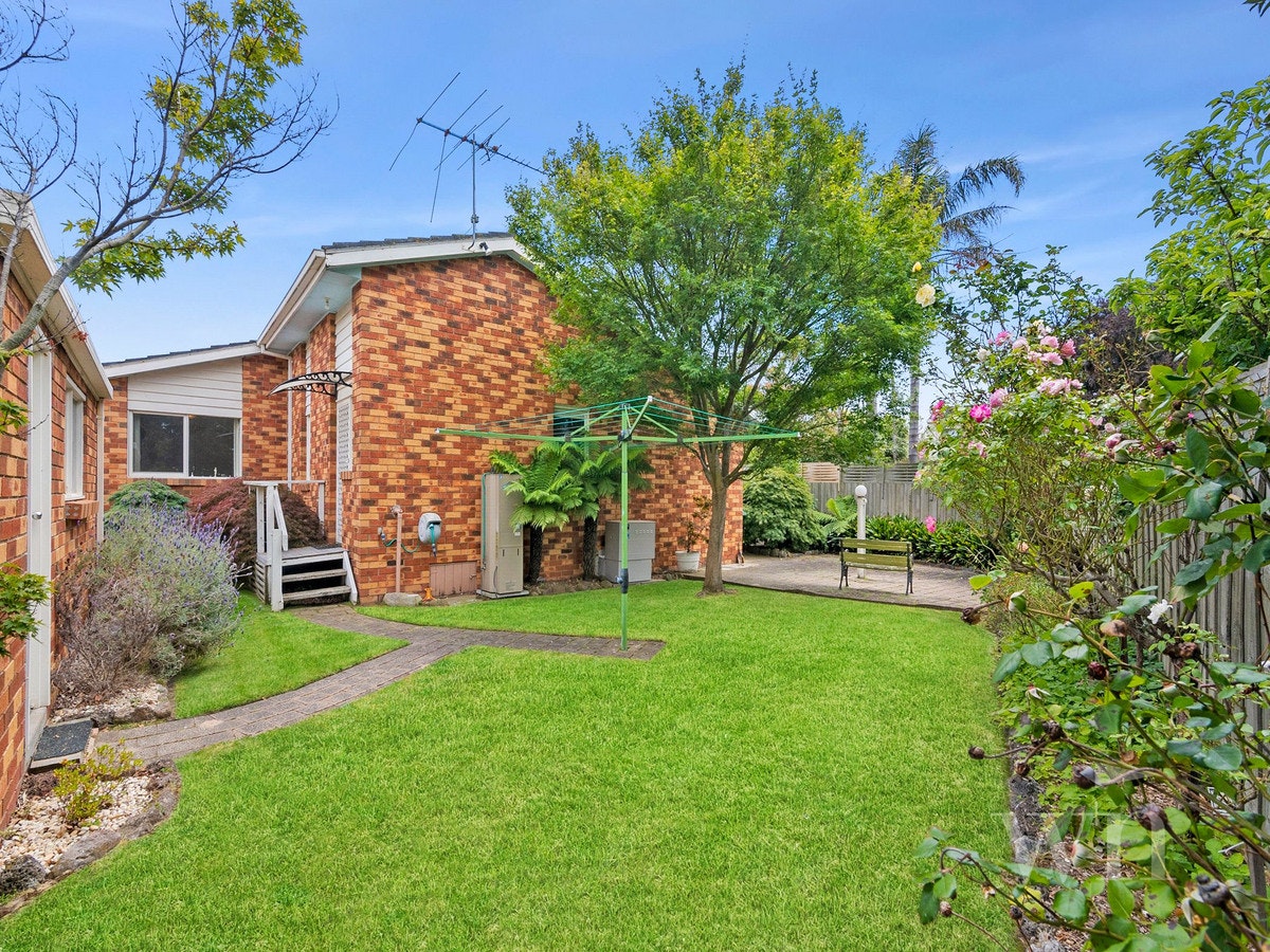 Image of backyard