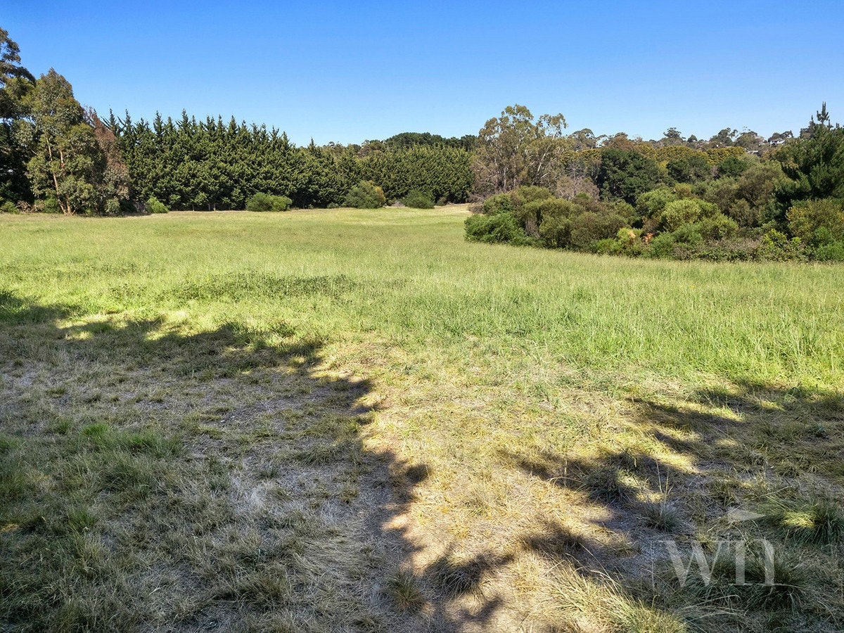 Image of field