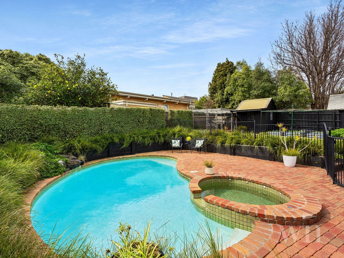 Image of backyard