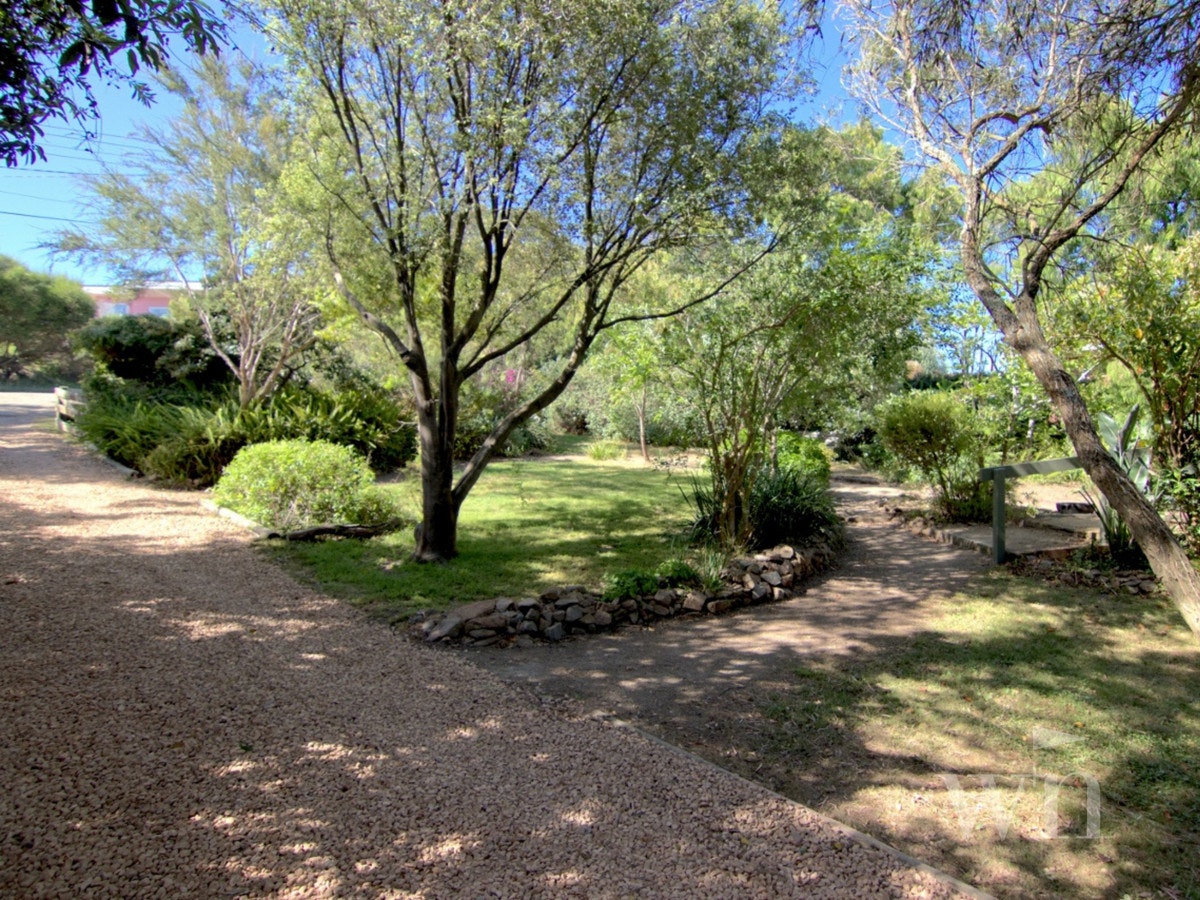 Image of grass