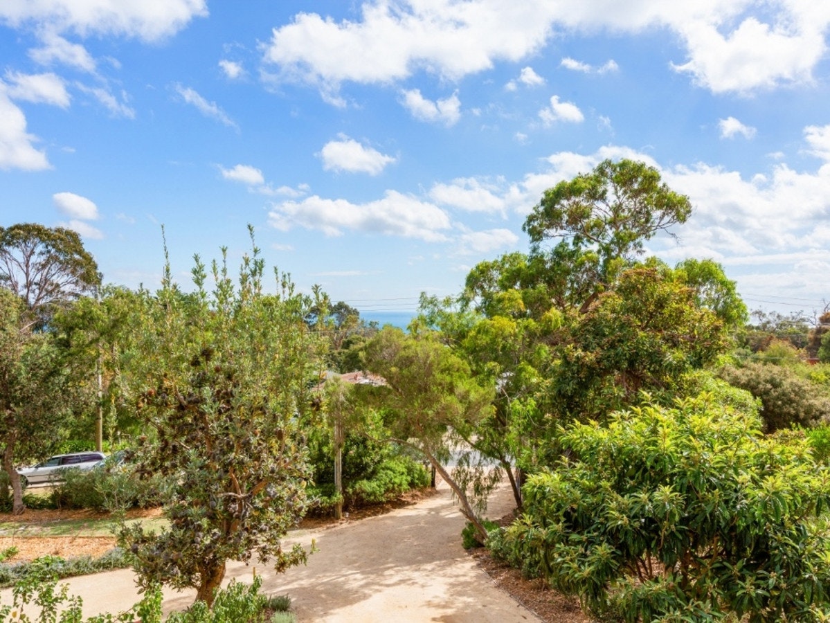 Image of vegetation