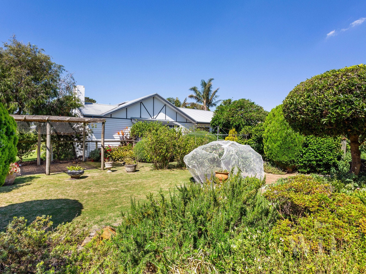 Image of garden