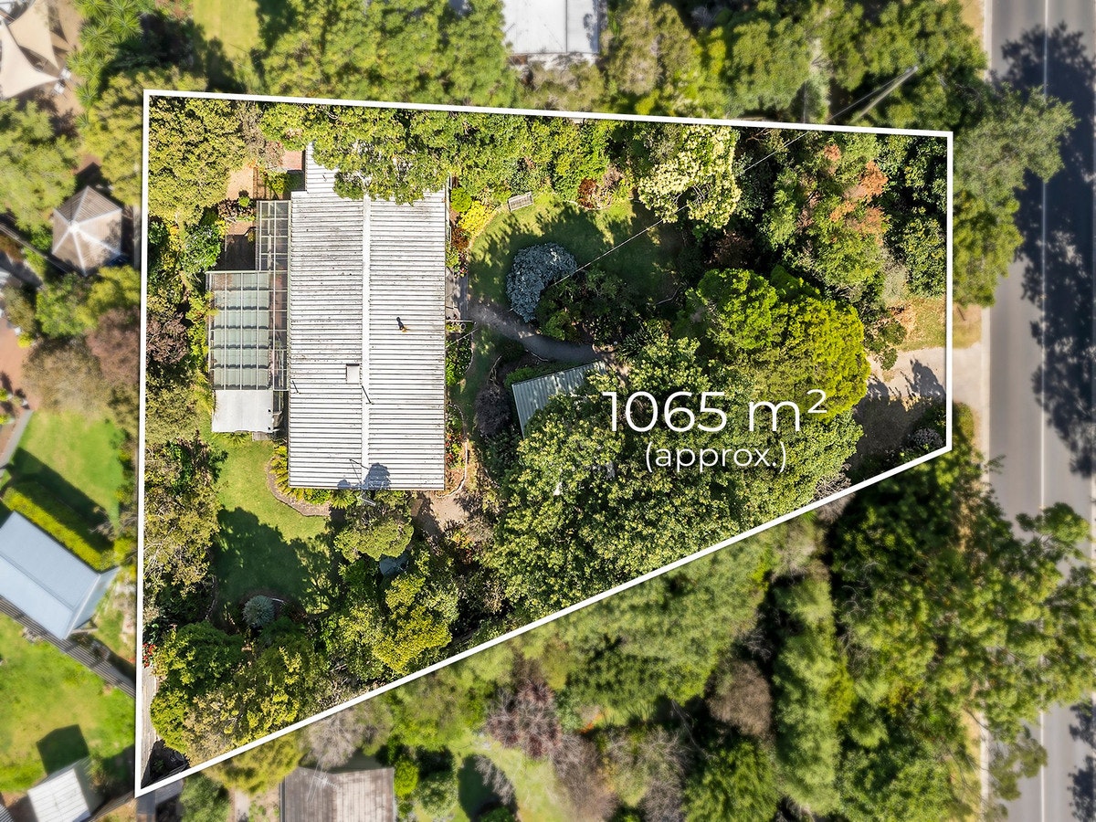 Image of vegetation