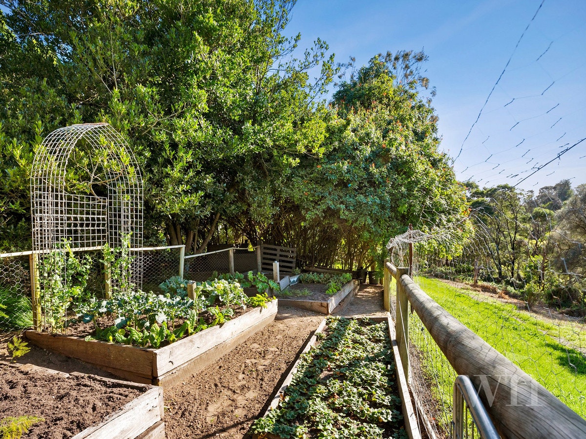 Image of garden
