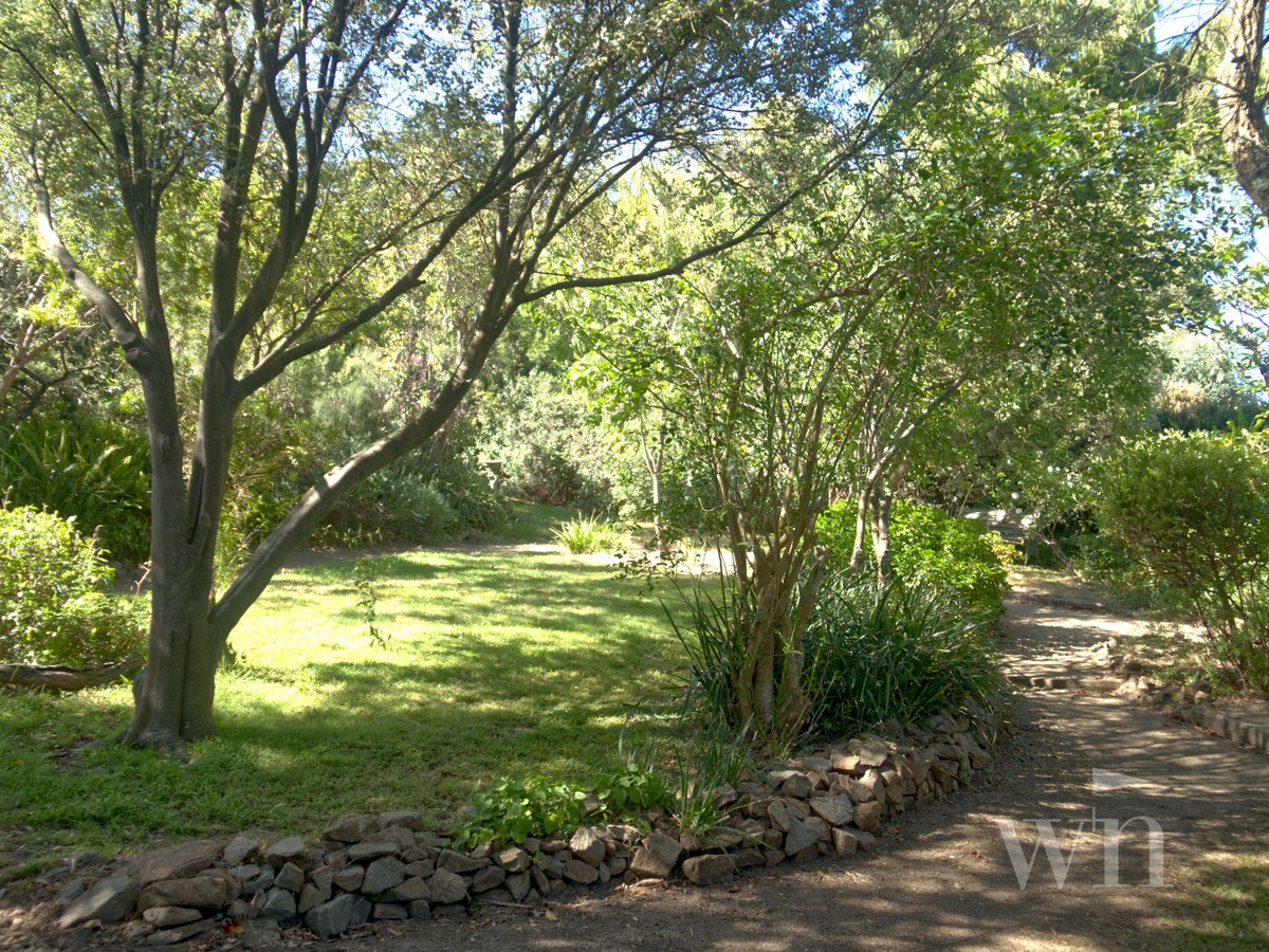 Image of vegetation