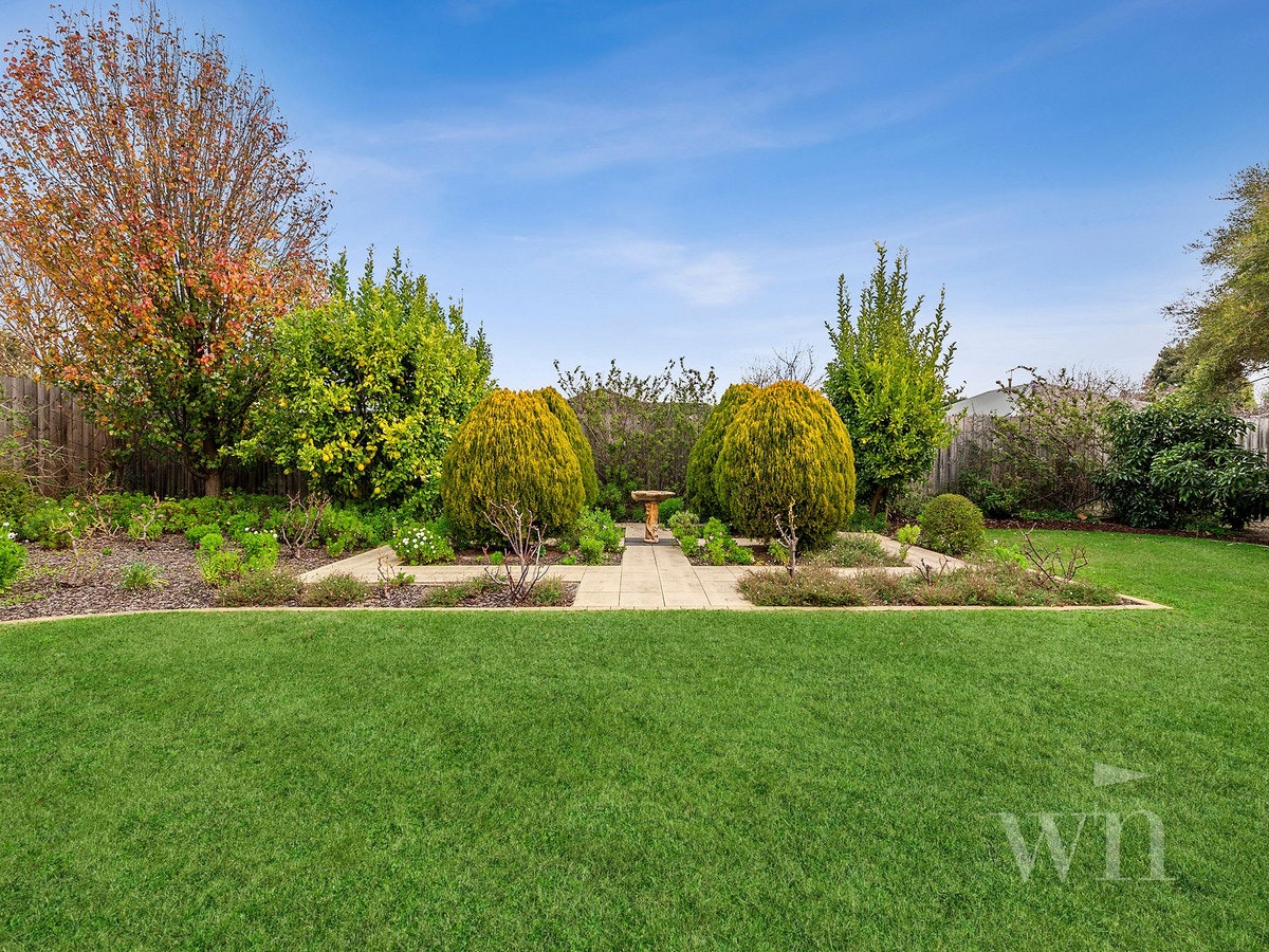 Image of grass