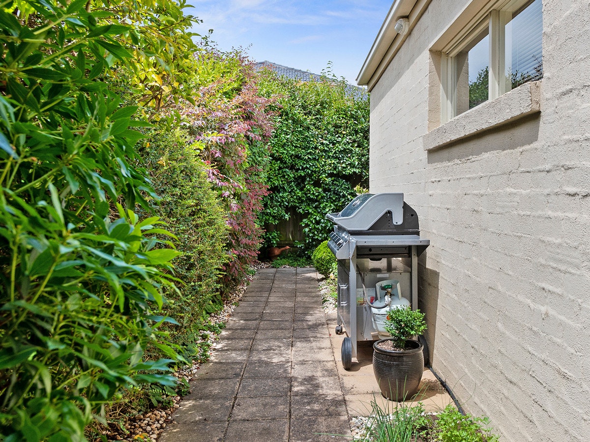 Image of path