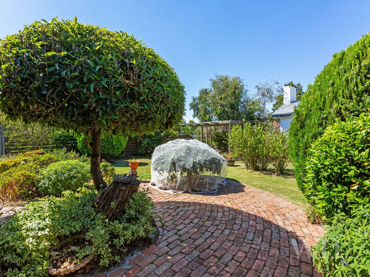 Image of path