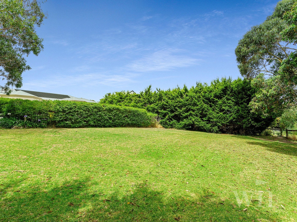 Image of grass