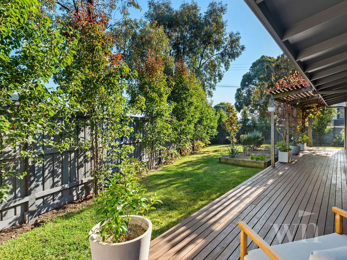 Image of backyard