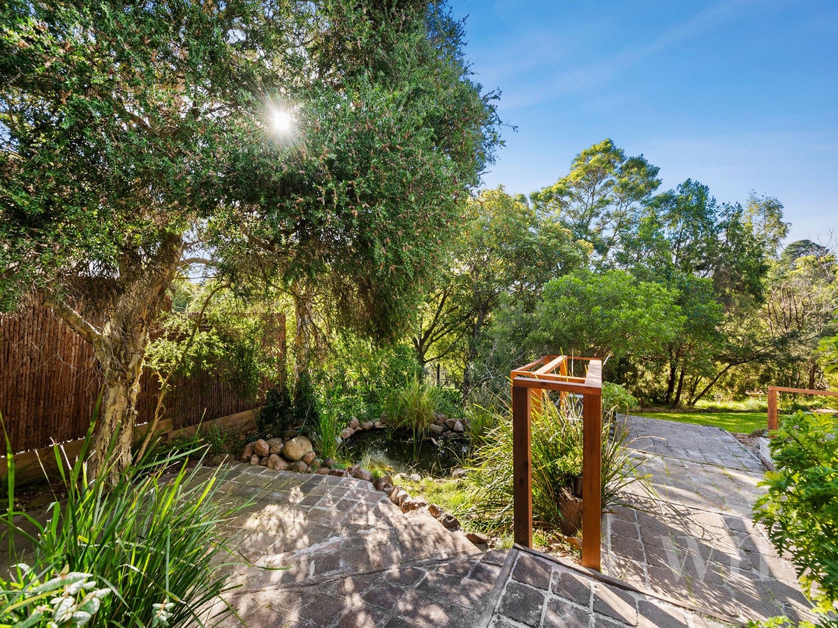 Image of garden