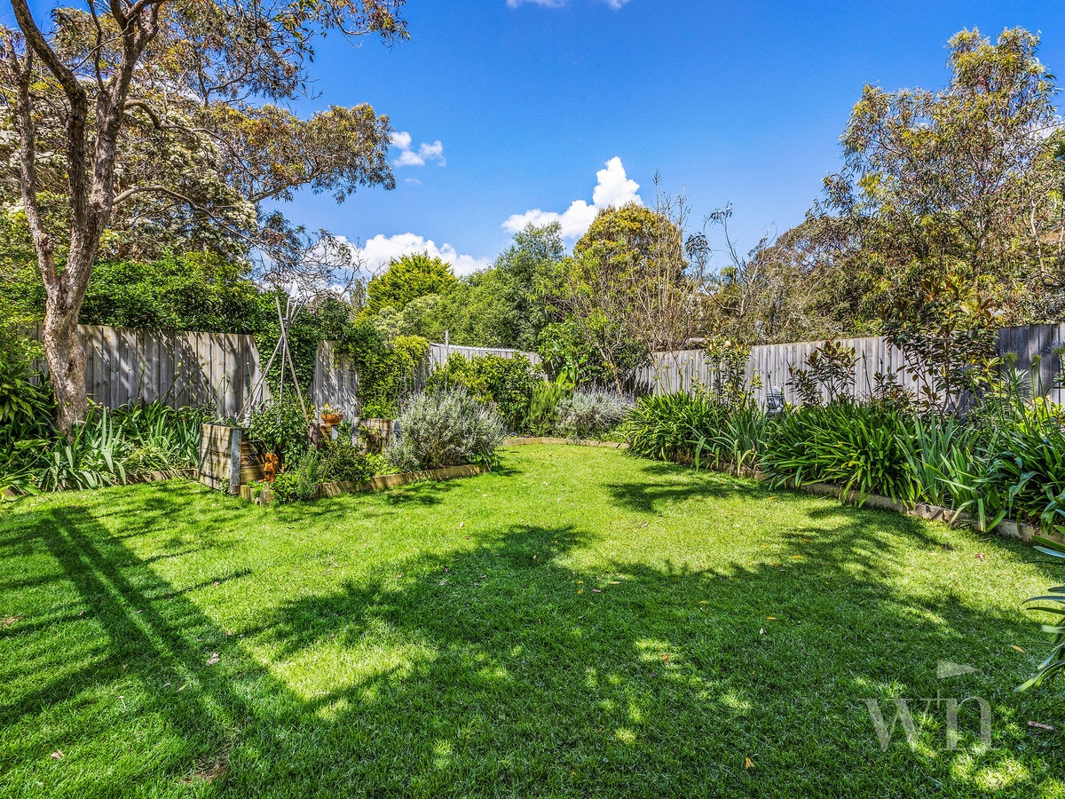 Image of backyard