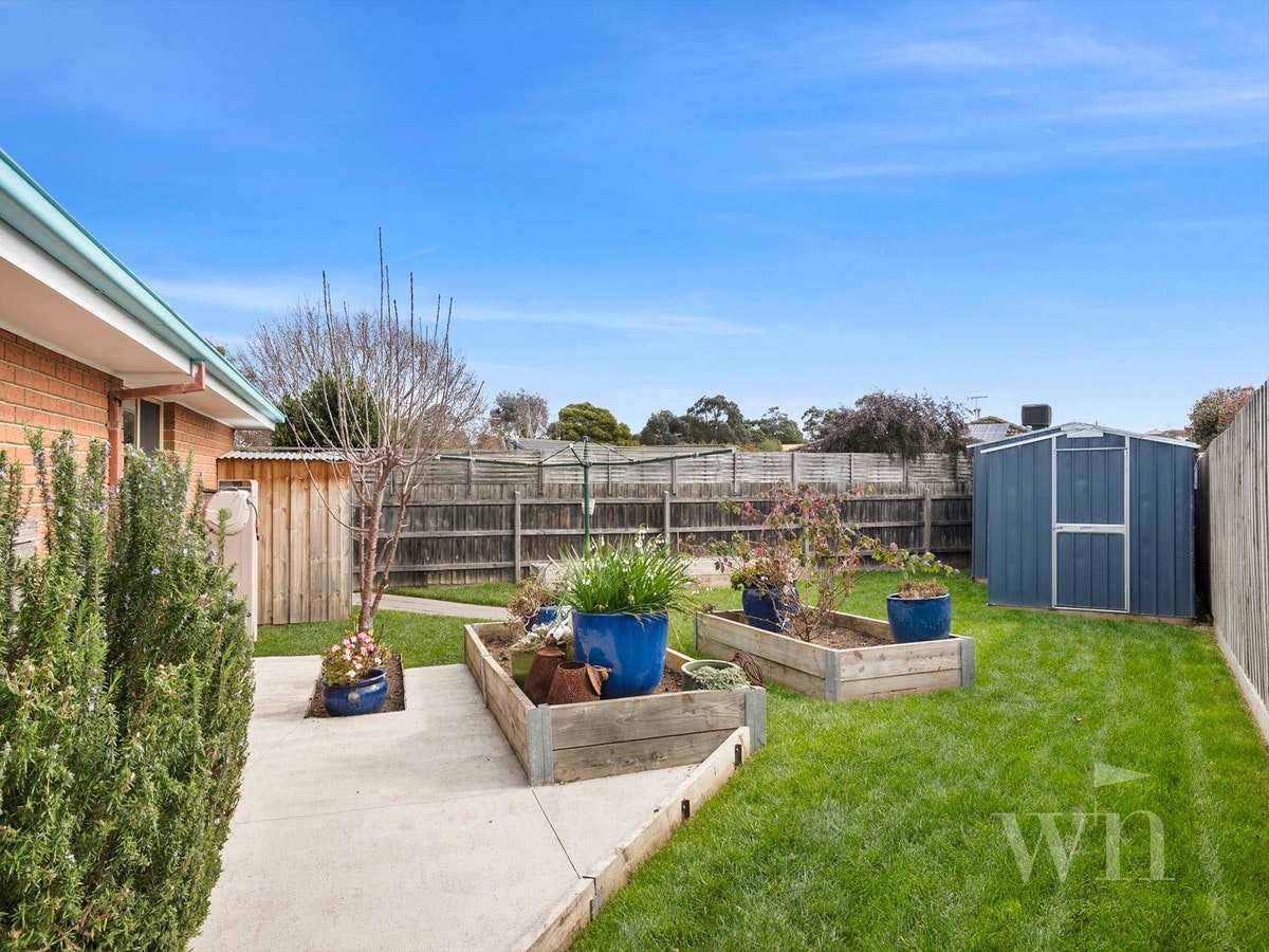 Image of backyard