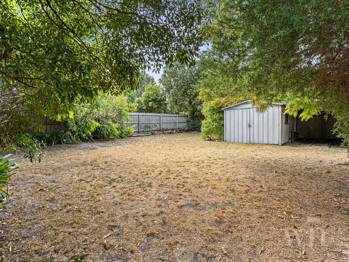 Image of backyard
