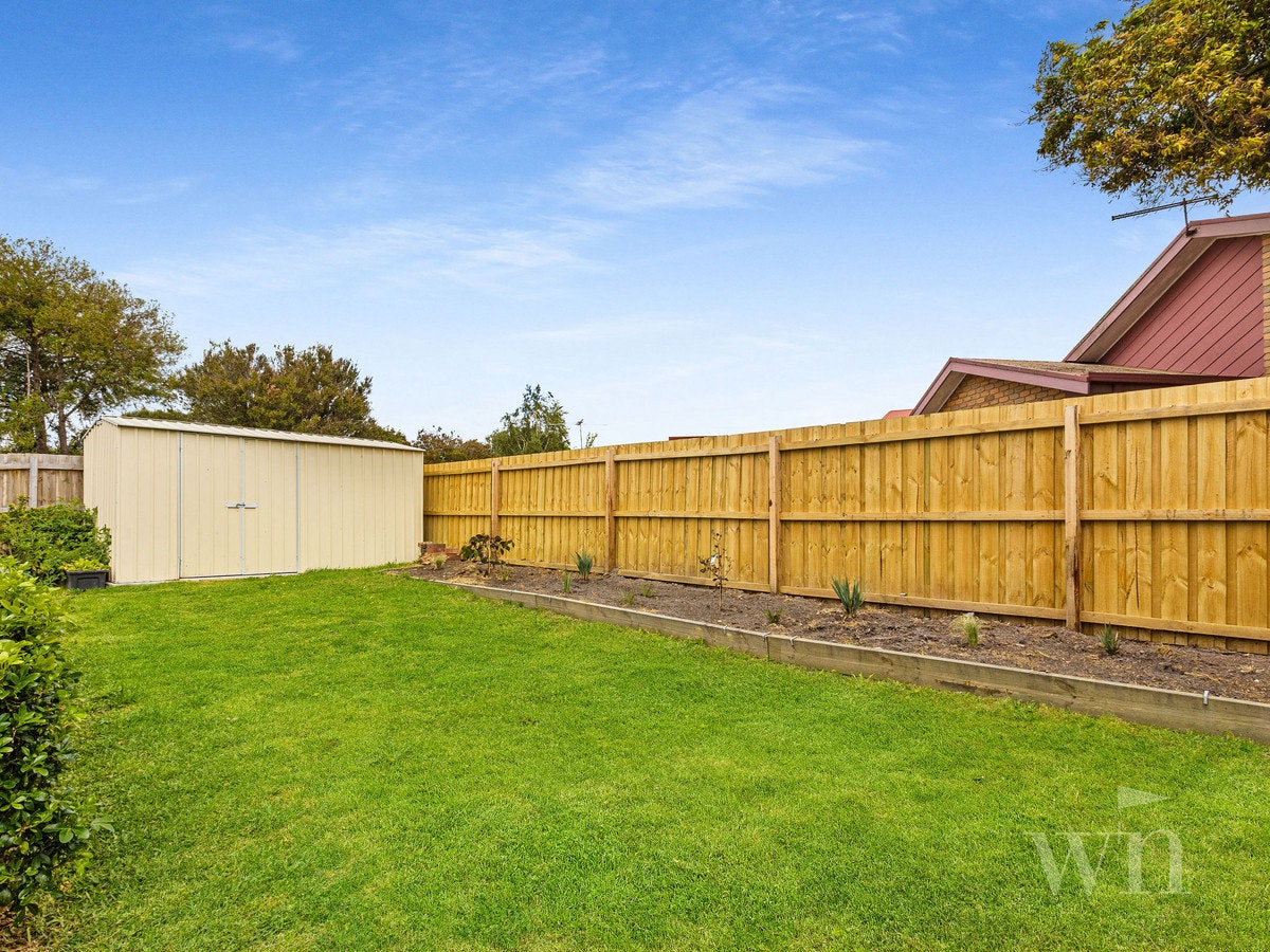 Image of backyard