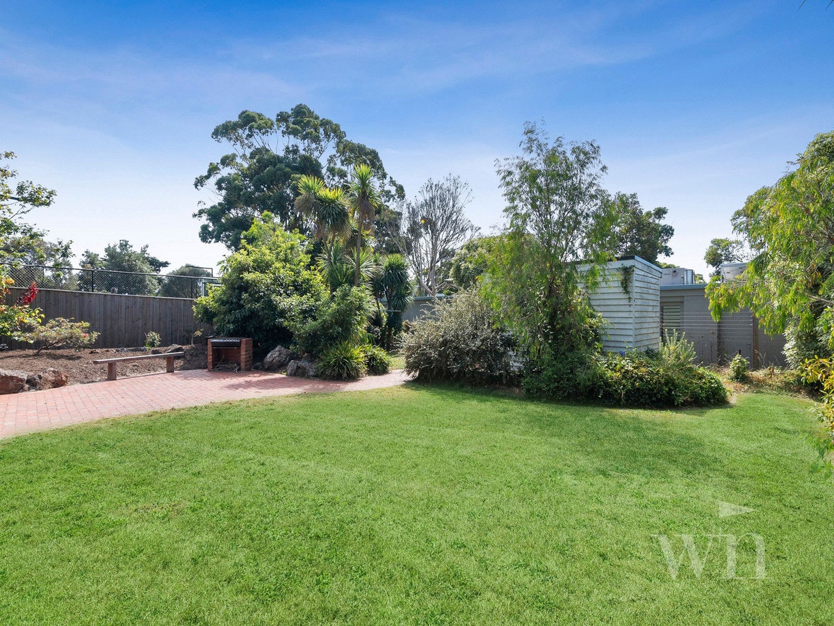 Image of backyard