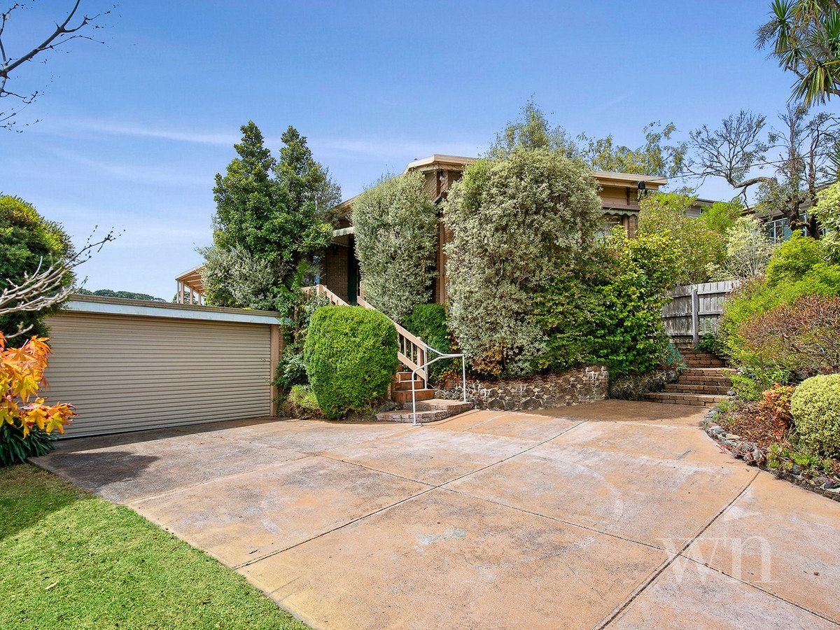Image of backyard