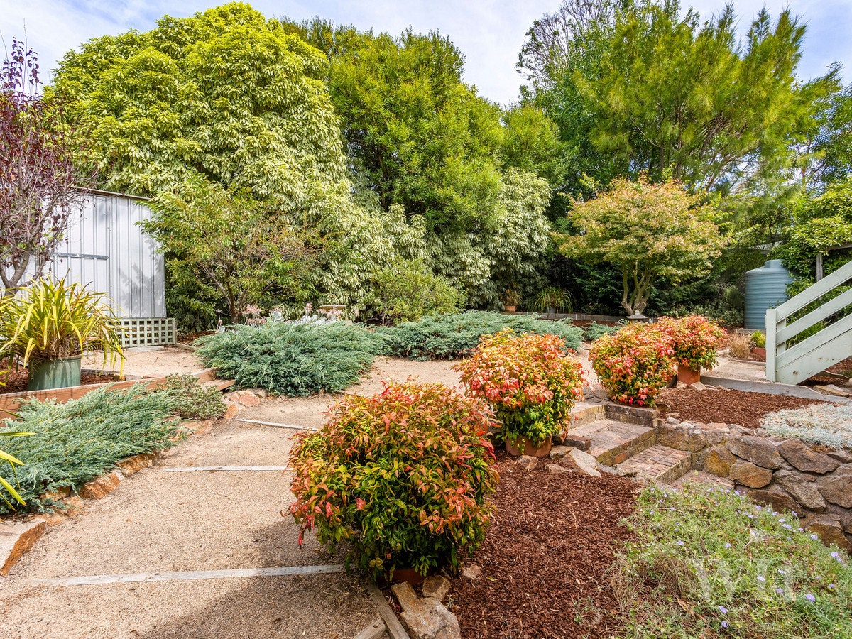 Image of backyard