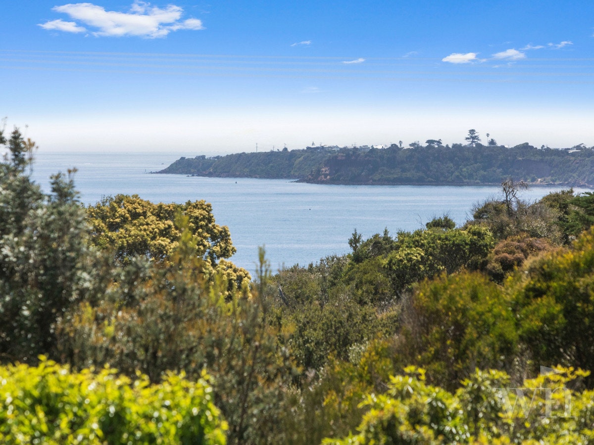 Image of land