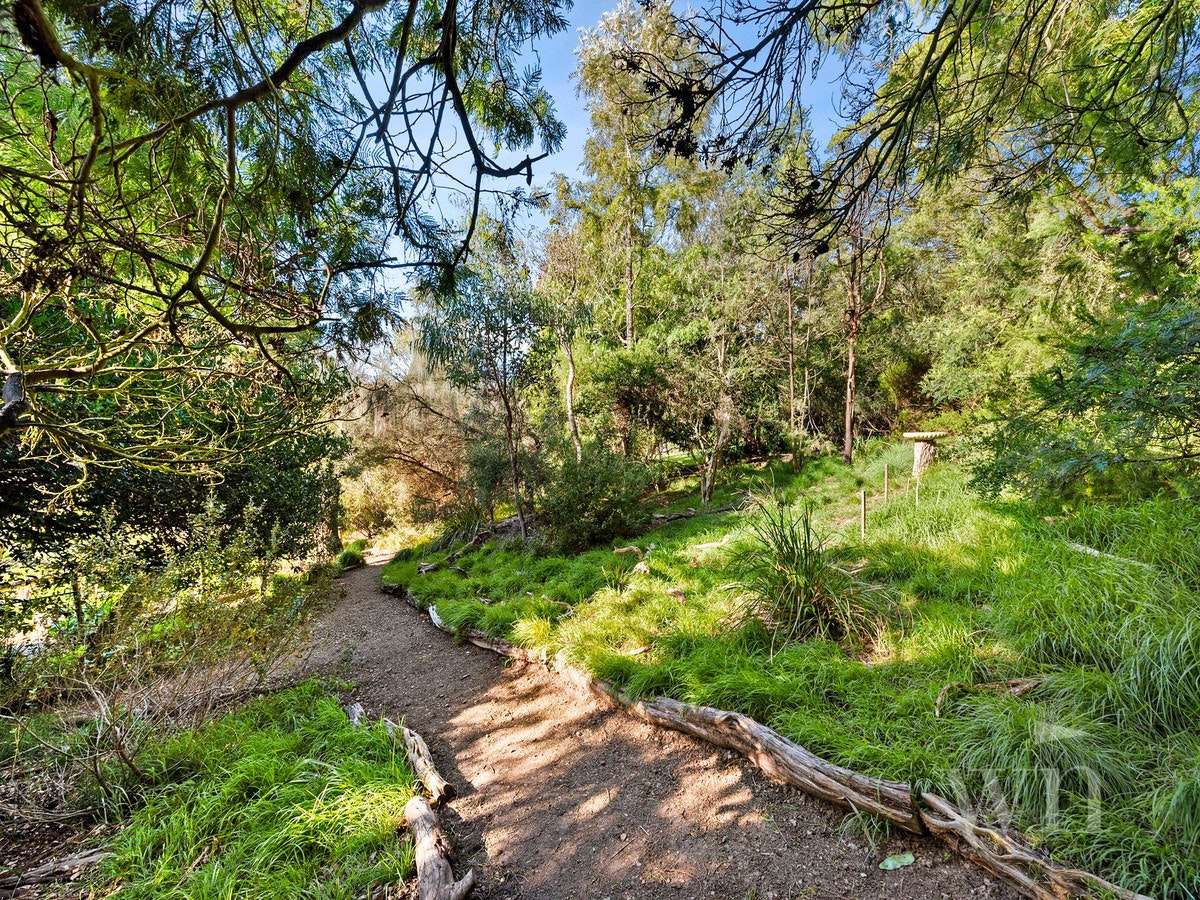 Image of path