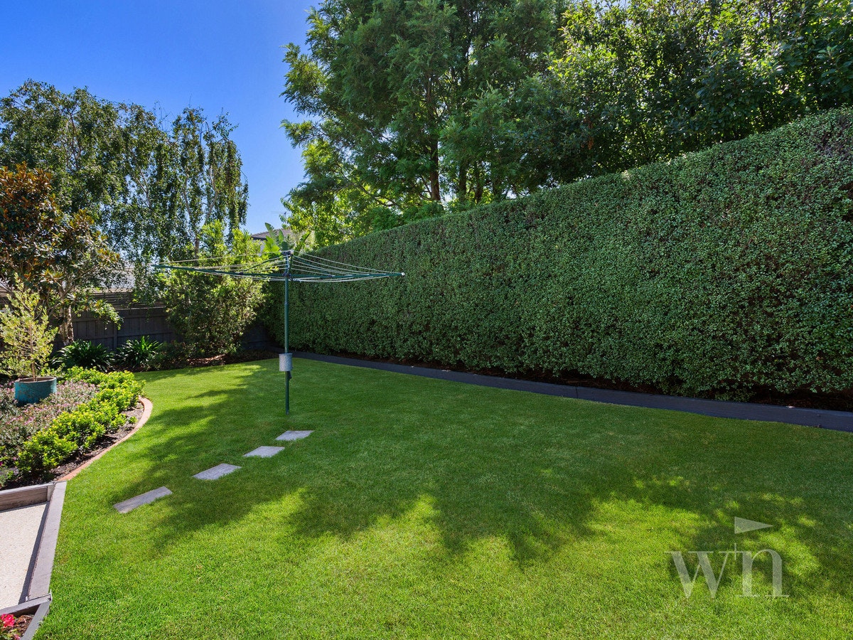 Image of grass
