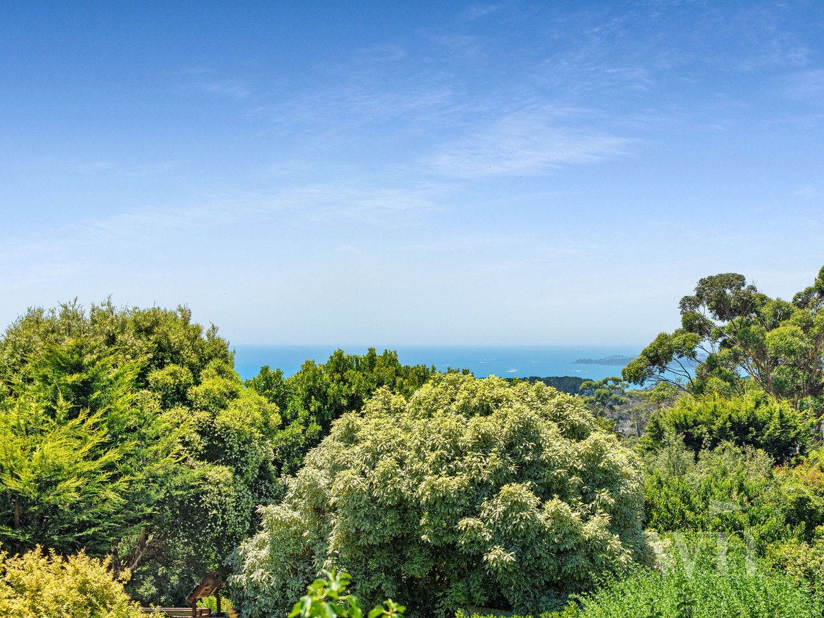 Image of vegetation
