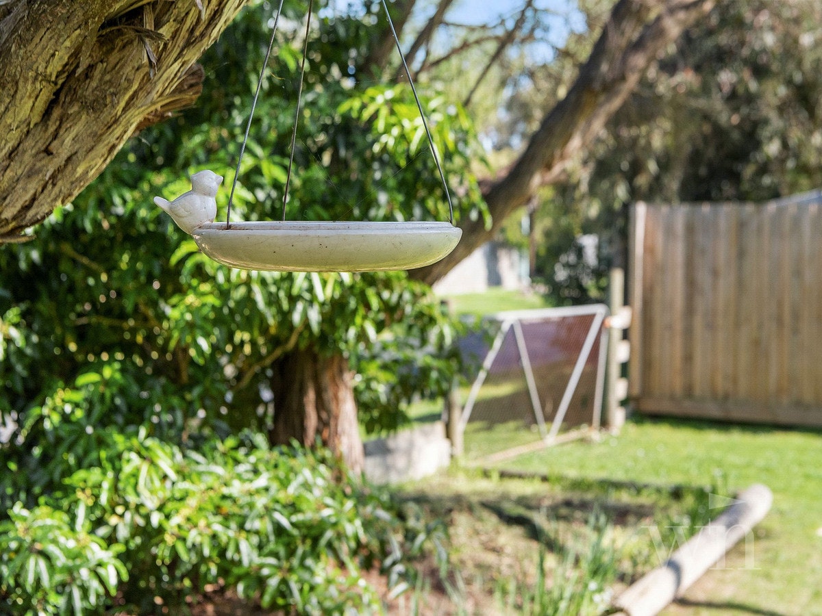Image of birdbath