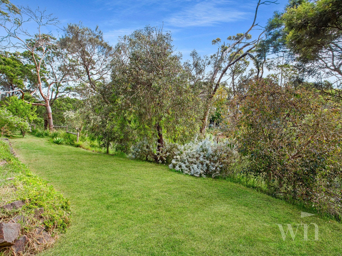 Image of grass