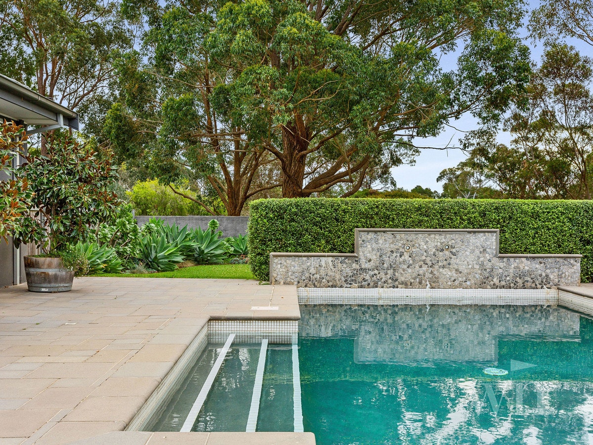 Image of backyard