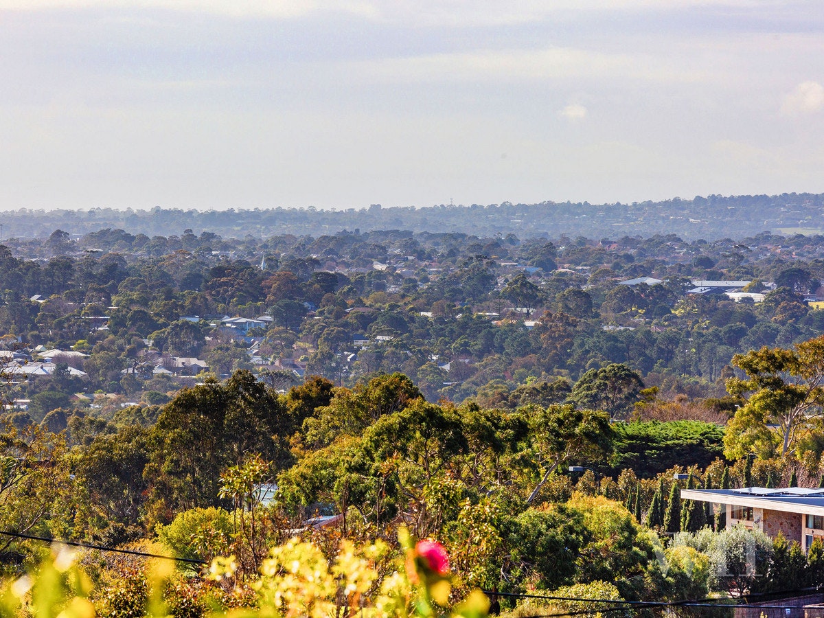 Image of cityscape