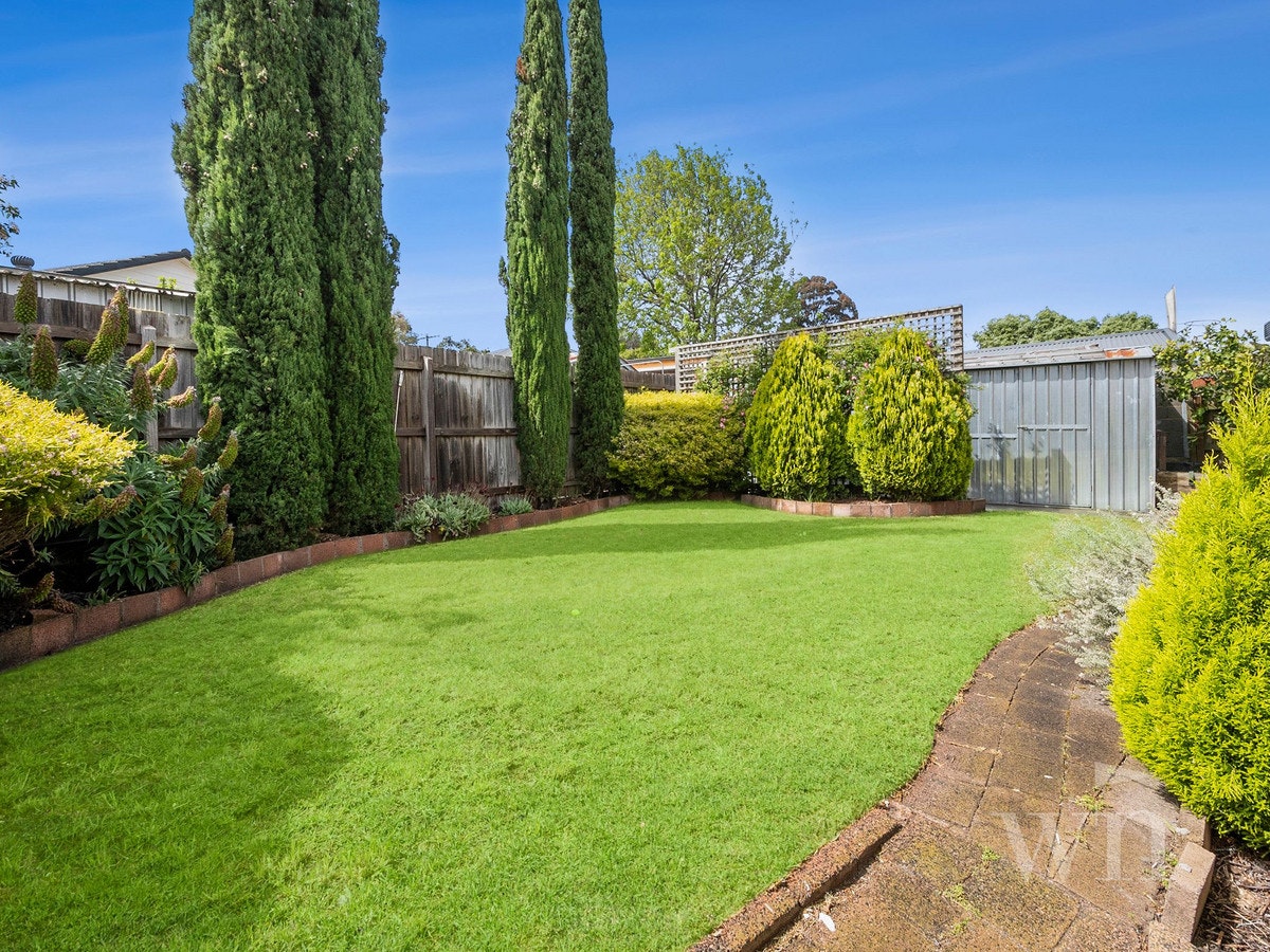 Image of backyard