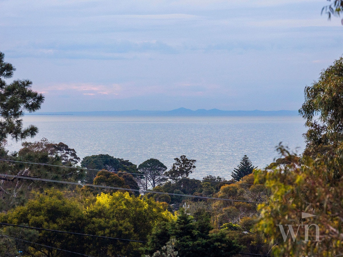 Image of nature