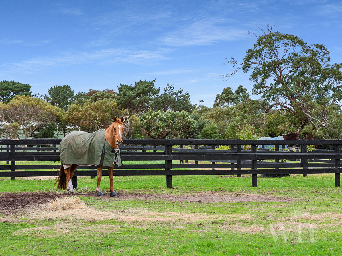 80 Racecourse Road, Mount Martha - Thumbnail 3