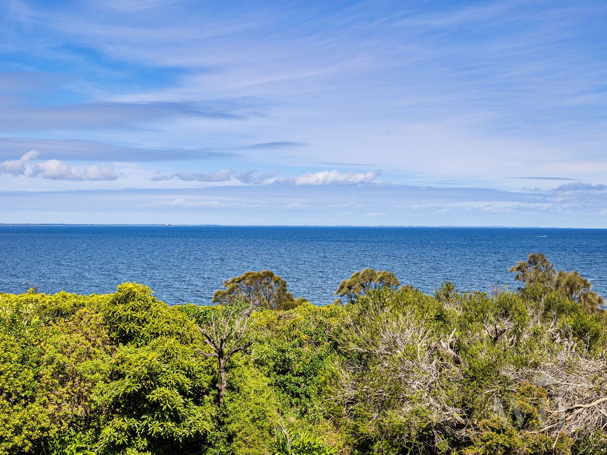 Image of nature