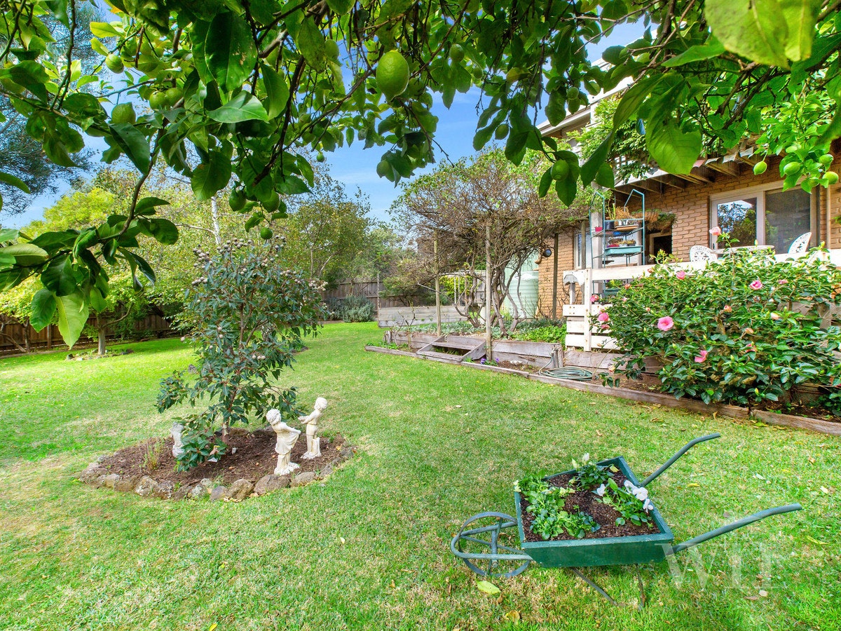 Image of garden