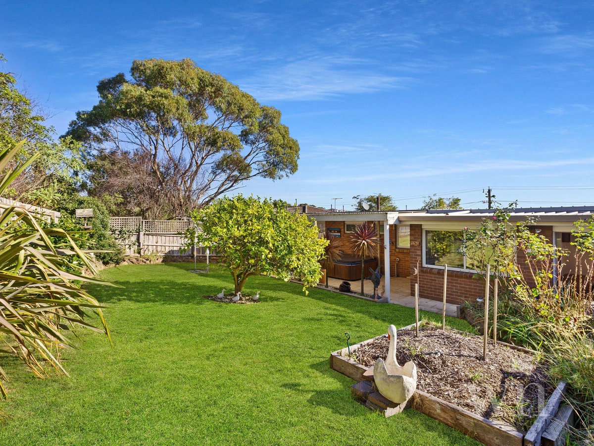 Image of backyard