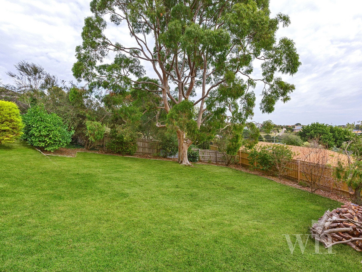 Image of grass