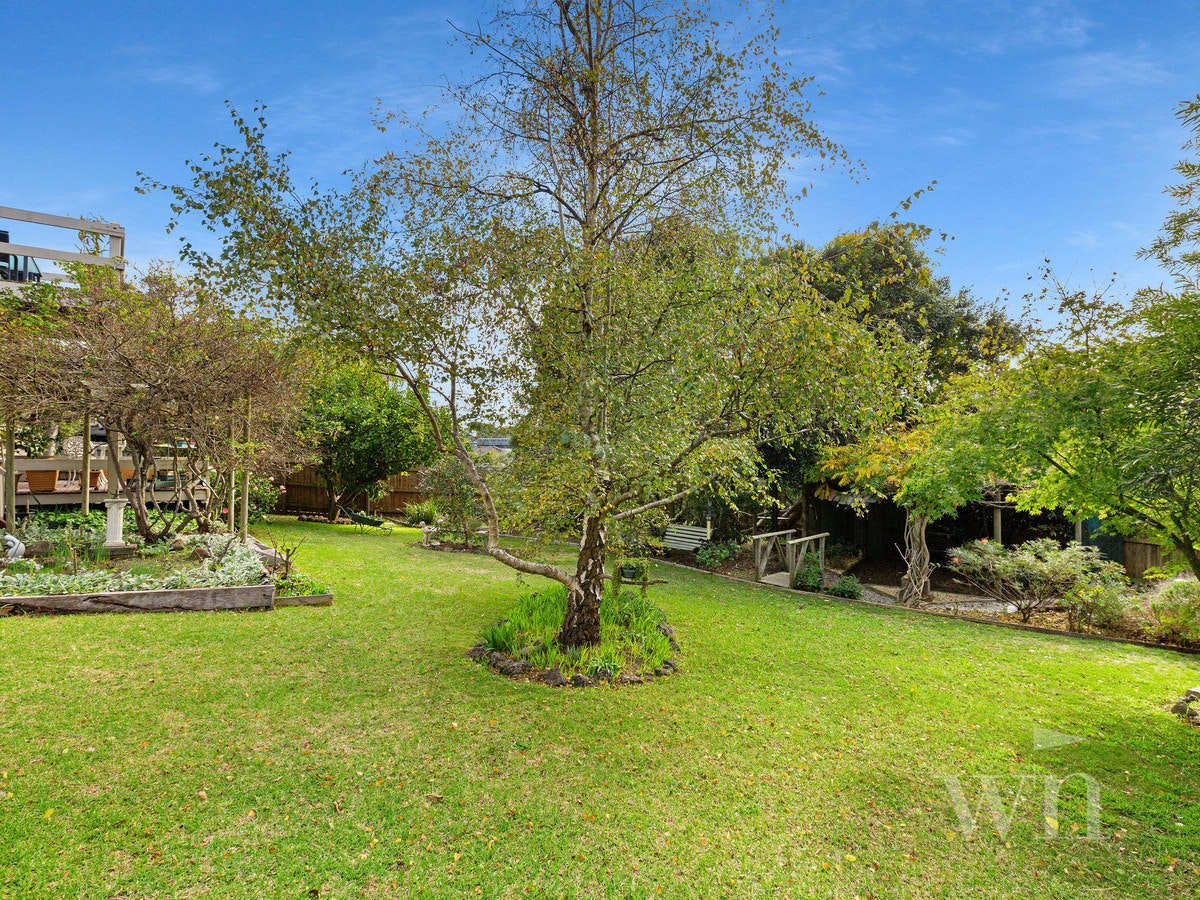 Image of grass