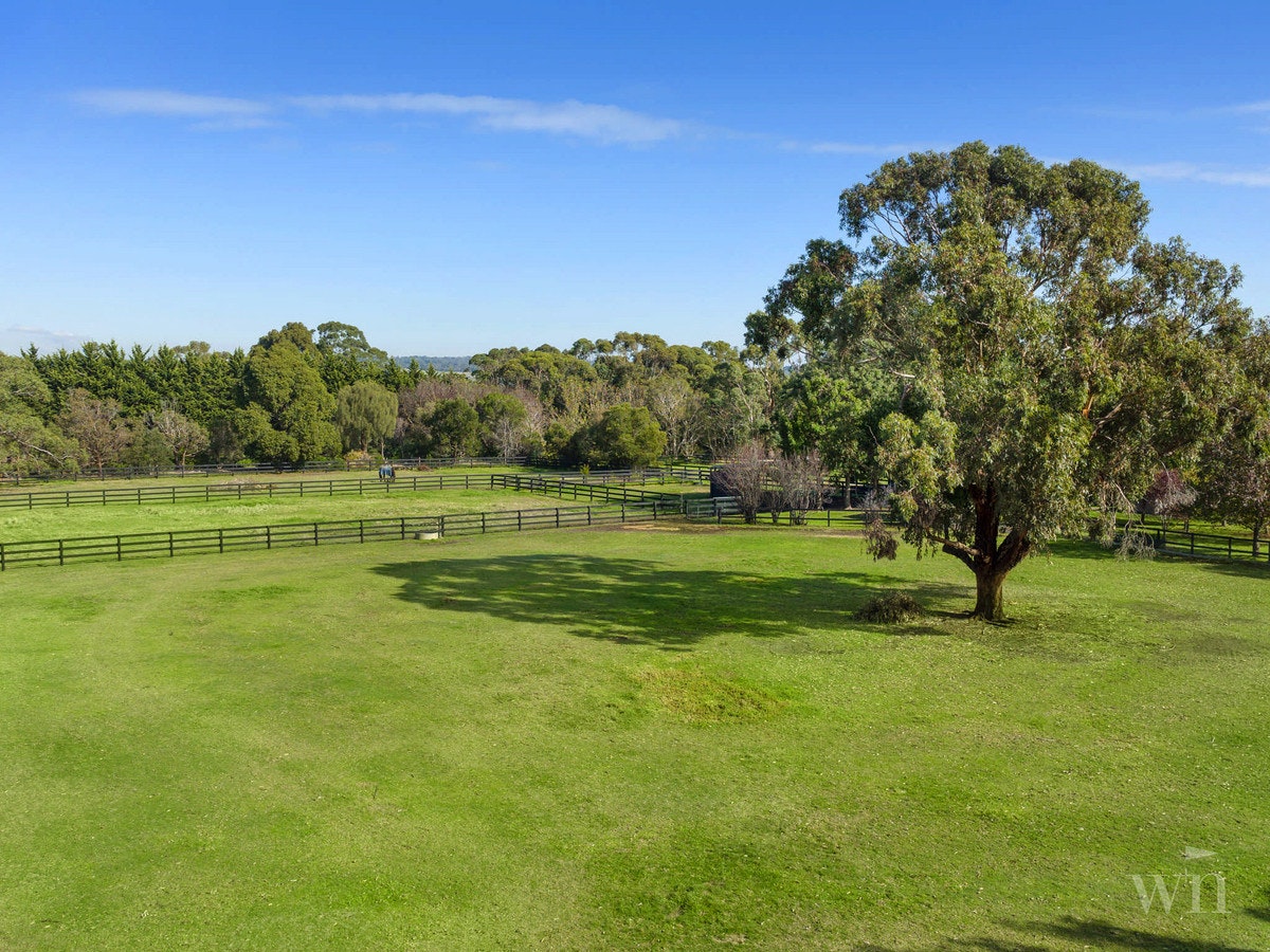 Image of field