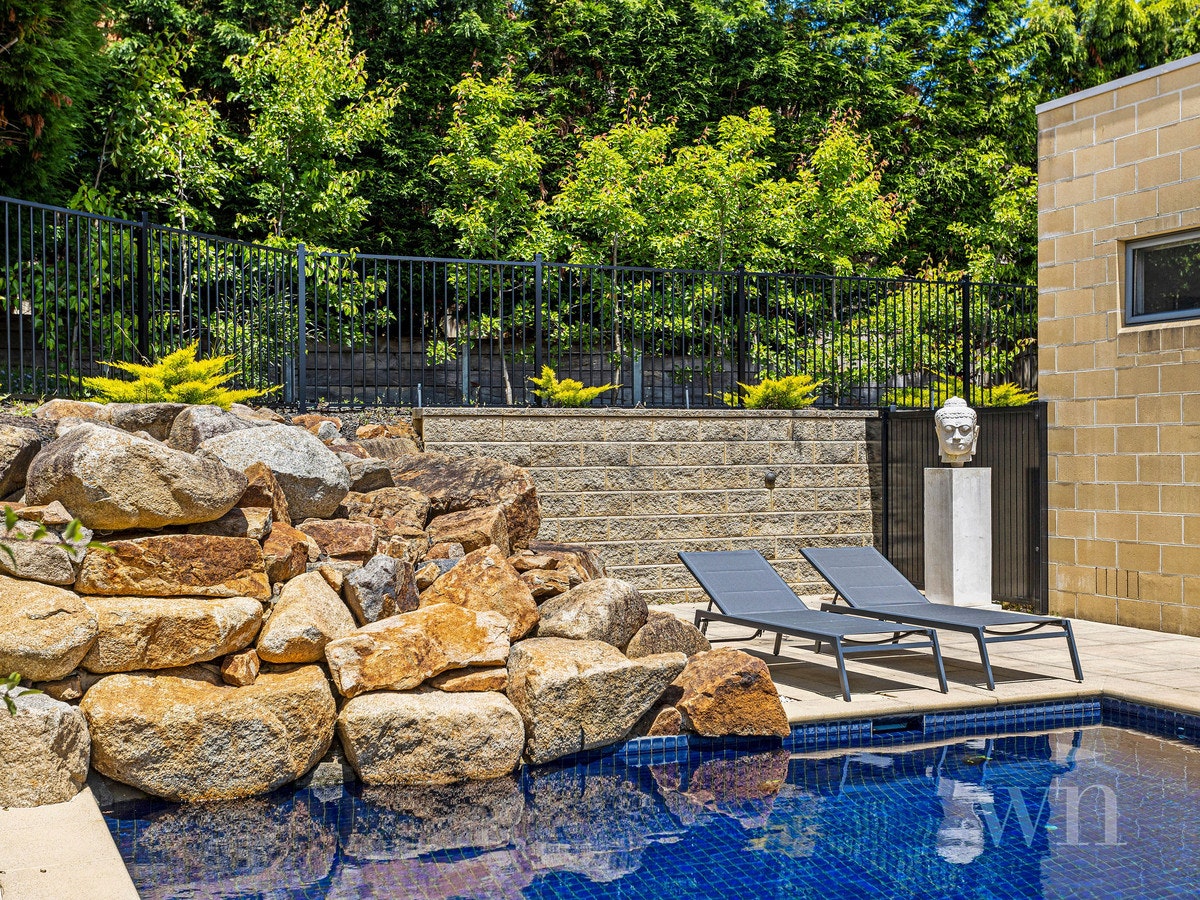 Image of backyard