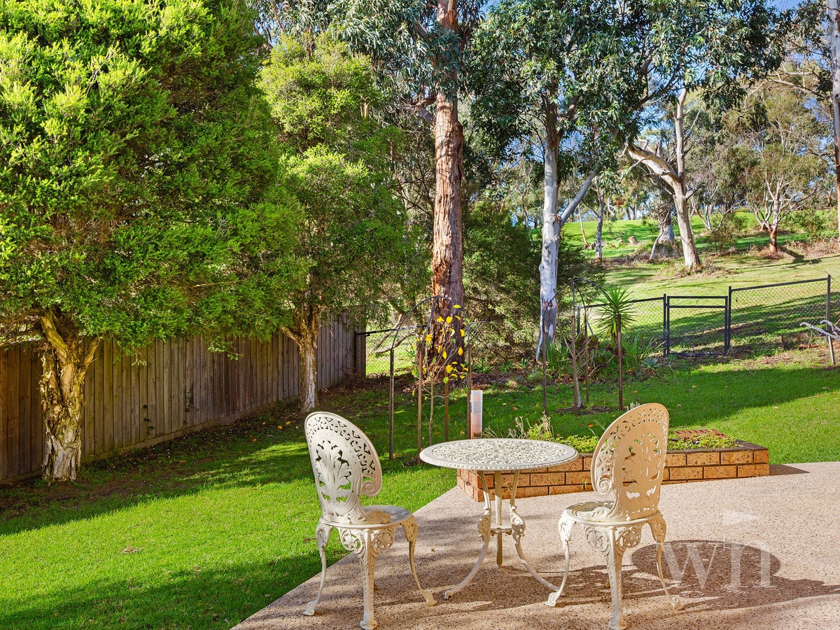 Image of backyard