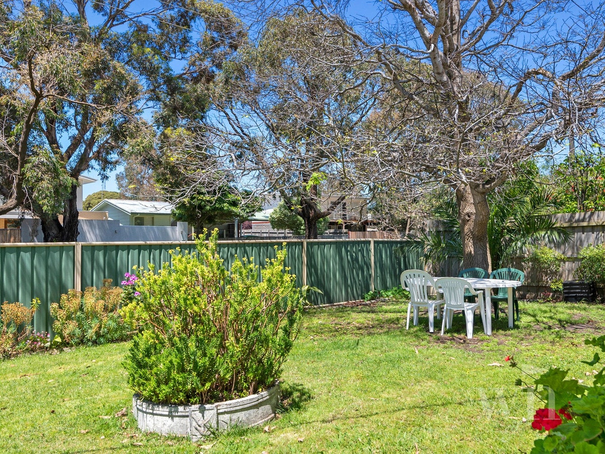 Image of backyard