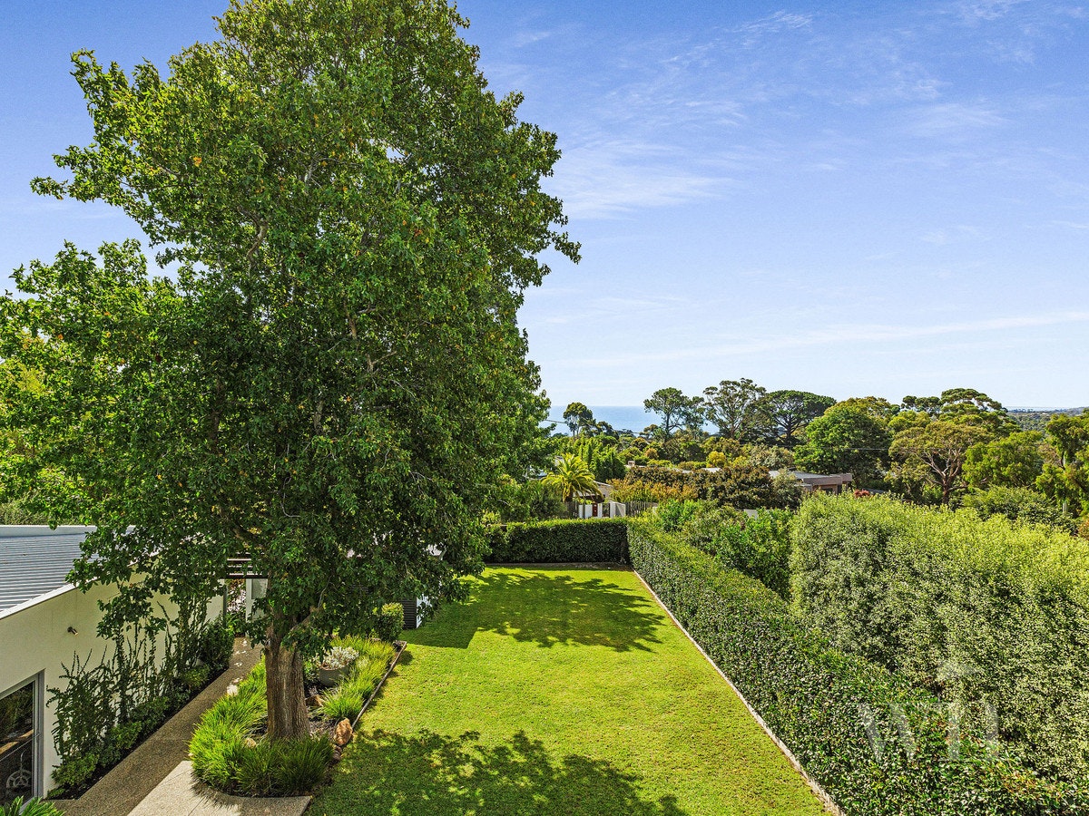 Image of garden