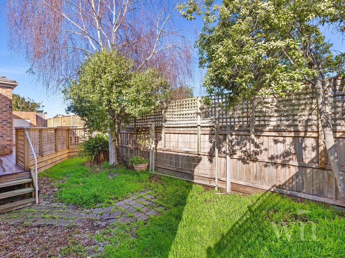 Image of backyard