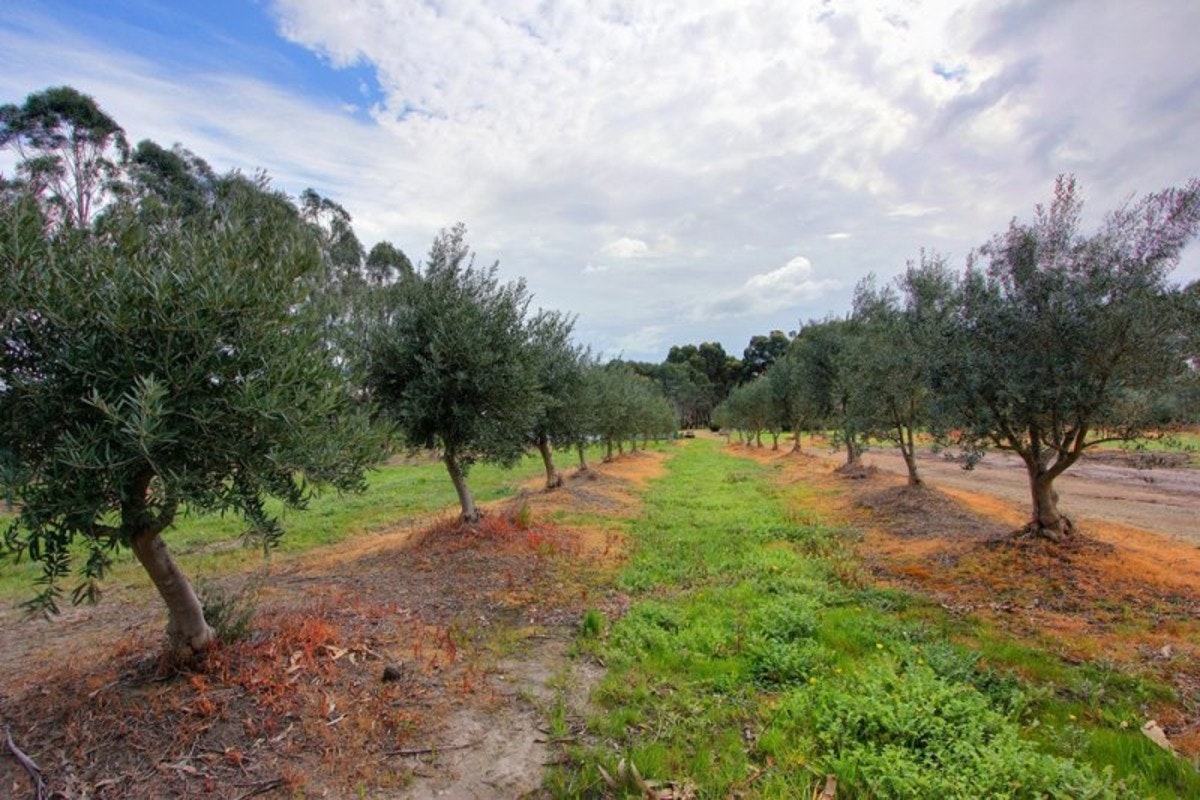 Image of countryside