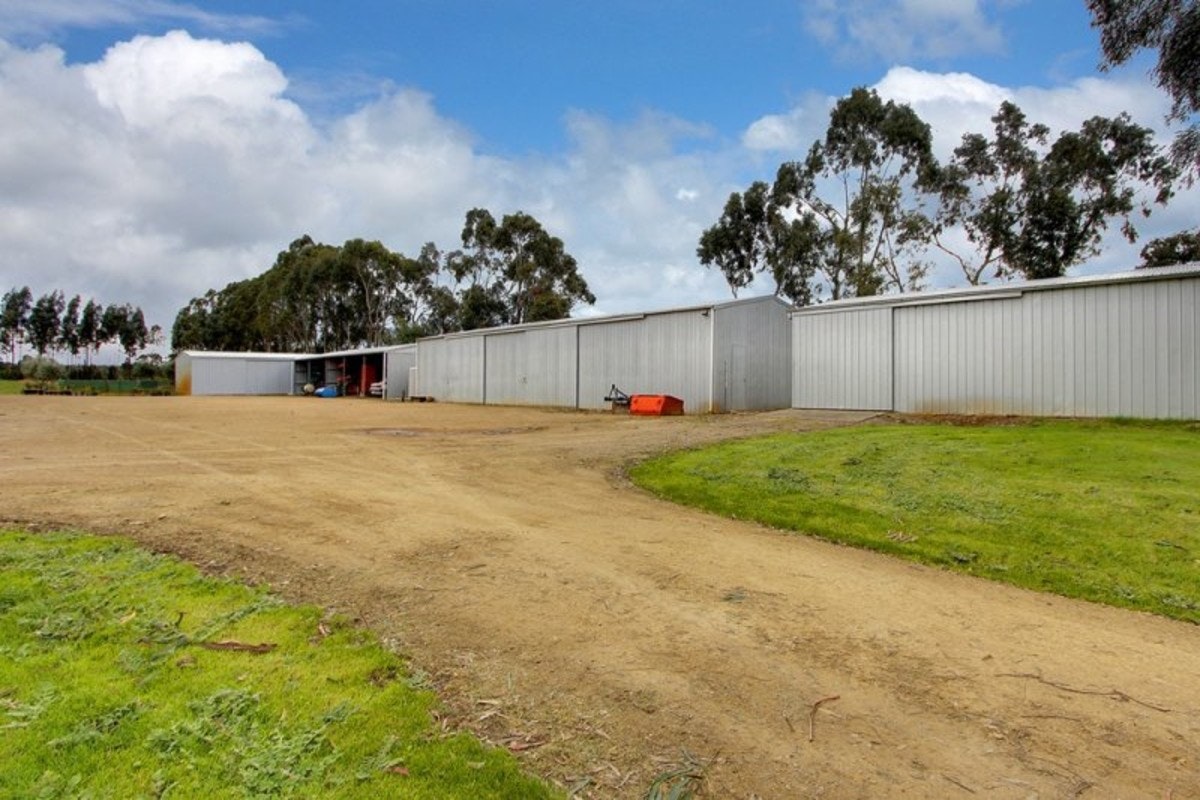 Image of backyard