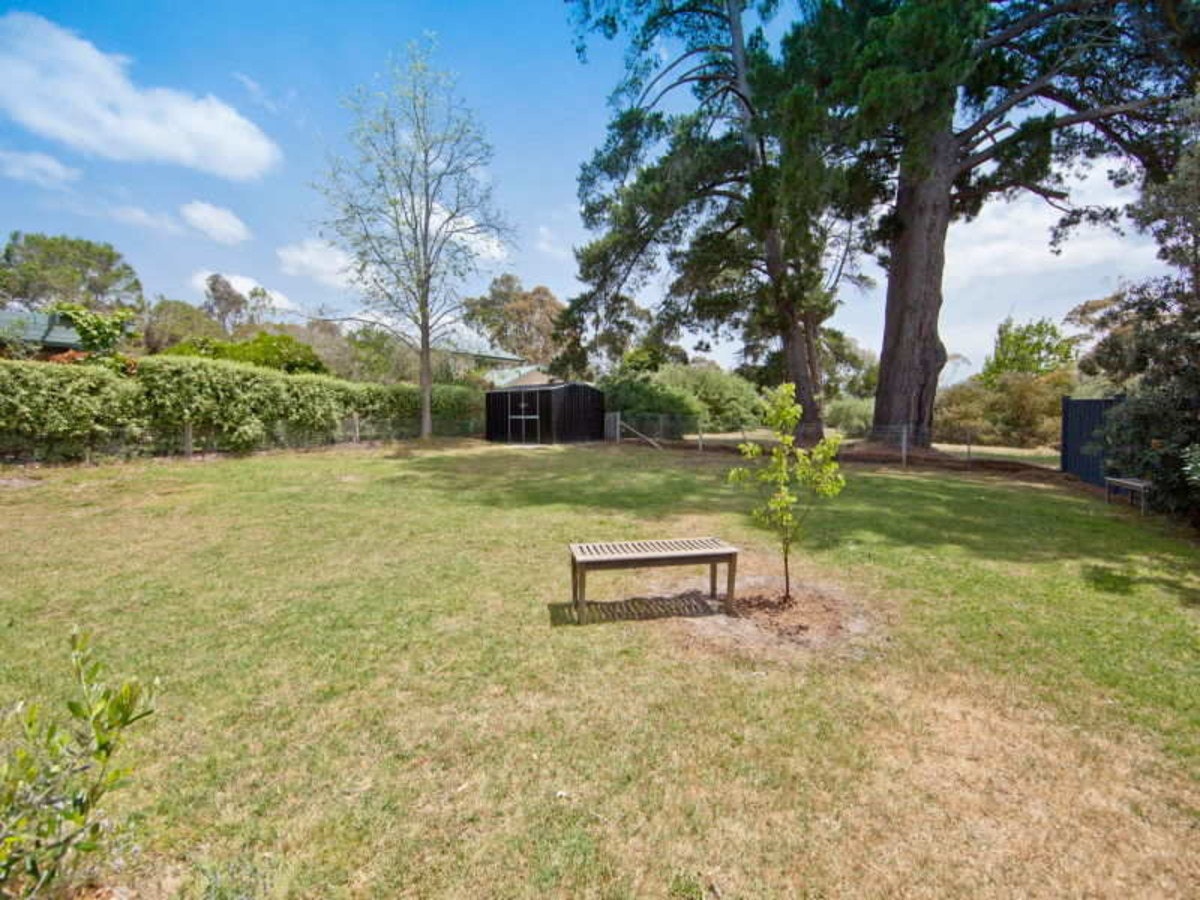 Image of backyard