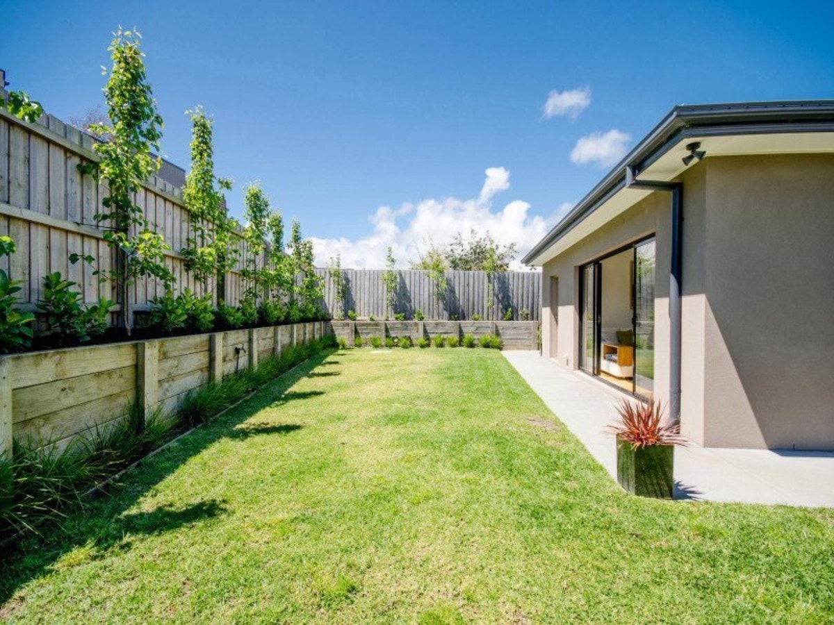 Image of backyard
